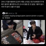 애들아 개귀여운<b>글봄</b> 김태래 김규빈 ㅈㄴ강아지