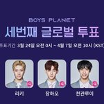 보<b>플</b> 내 픽 어때