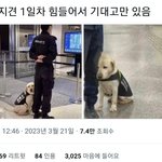 근무가 너무 힘든 1일차 <b>신입</b>