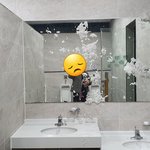 <b>자칭</b>(<b>자칭</b>!!)선진국이라는 한국 공중화장실 이용실태