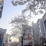 [19] 친구가 엄청 뚱뚱한데
