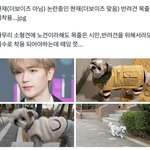 [모두드루와] <b>더비</b>들은 왜그래?