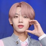 장<b>슈</b>아이보 핑크머리ㅅㅂ 개잘어울림