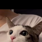 얘ㅈㄴ <b>미묘</b>아니냐