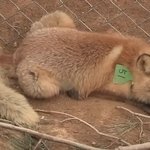 [댓글부탁해] <b>카페</b>알바 잘리는데