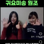 아니 닥 왼 아님?? ㄹㅇ <b>내</b><b>눈</b>이이상한가?