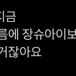 장슈랑 차이<b>진신</b> 이게 진짜미친거같음