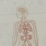 <b>생명</b> 너무 소름돋아서 공부를 못하겠어