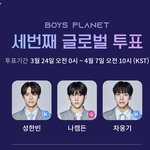 나 보플투표 이렇게 했는데 괜찮나 ..?