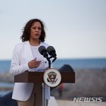 초록은 동색(풀빛과 <b>녹색</b>은 같다) (13) - 아프리카의 미래,...