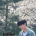 ㅅㅎㅂ 목격담뜸