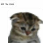 야이 멍<b>청아</b>