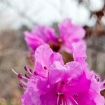 세마넴 스위치 <b>오버</b>미 다 궁금하긴함
