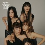 에이핑크 <b>정병</b> 개많아 아ㅋㅋㅋ