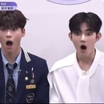 귀여운거 보여줄까 아기<b>멍게</b> 두마리