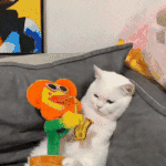 와 선<b>바가</b> 결혼이라니