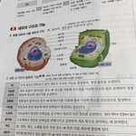[댓글부탁해] <b>생명</b>아는 애들아 리소좀 있잖아