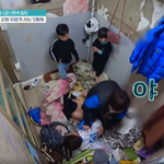 이번주 금쪽같은 내새끼 독수리5형제.. 정말 <b>대책</b>없어 보임