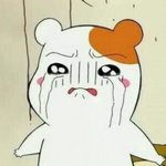 누가 <b>위에화</b>즈 내일도 돌아다닌다고 말해줘