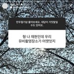 [도재정] 도영이가 <b>청량</b>이래