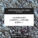 [도<b>재정</b>] 가스라이팅 속지말고 그냥 앨범 사