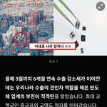 수출이 많이 어렵기는 한가봐