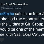 비비렉사 스자 <b>리조</b> 도자캣 로제