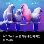 트위터 하는 애들아 도와주라 ㅈㅂ