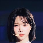 일본은 하이브가 사랑하는데
