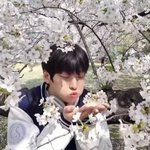 나캠든 제발 데뷔조에
