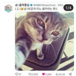 [스키즈] <b>만우절</b>이어서