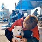 [드루와] 나도 사주 <b>신강</b> 이고싶다