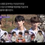 나캠든 걍 스타성 ㅁㅊ음