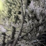 [댓글부탁해] 이거 셀기꾼 이냐!?!!??