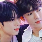 다들 <b>최차</b>애 누구야