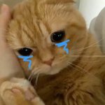 [드루와] 곱창 먹으러 가구싶당