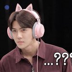 [드루와] 와 얘들아 다이소 향수 써봤냐