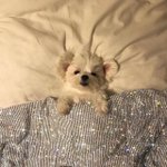 [댓글부탁해] 내 <b>mbti</b> 맞혀봐