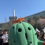 부산에서 엄청 큰 <b>선인장</b> 봤음