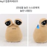 일단 이거 보고 <b>진정</b>해