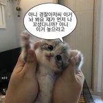 [드루와] 전<b>재산</b> 7-800있는데 부모님