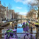 [드루와] 진짜 사람 인생 한 치 앞도 모른다