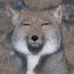 <b>니</b>네는 시2발 <b>짝</b>남이랑 같은 기숙사 쓰지마라
