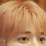 [TXT] 태현이 팬분들이에요