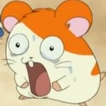 <b>룸메들</b> 다 자는데 똥마려ㅠ 띠바