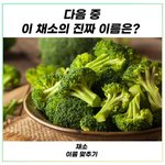 이 <b>채소</b>의 이름은?
