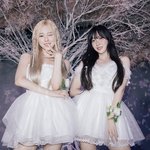 하...여행하면서