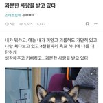 고3들아 너네 용돈 얼마받냐?