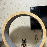 [이것좀봐줘] <b>안녕</b> 난 12살 황붕