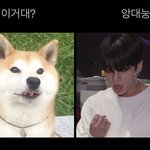 [군대] 와 개 <b>귀여웡</b>…
